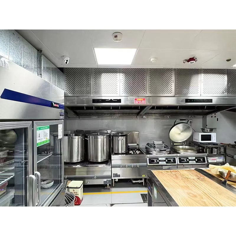 Campana Extractora Comercial P - Commercial Kitchen Hood reseña y precio